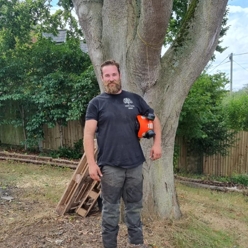 Tree-Surgery-Canterbury