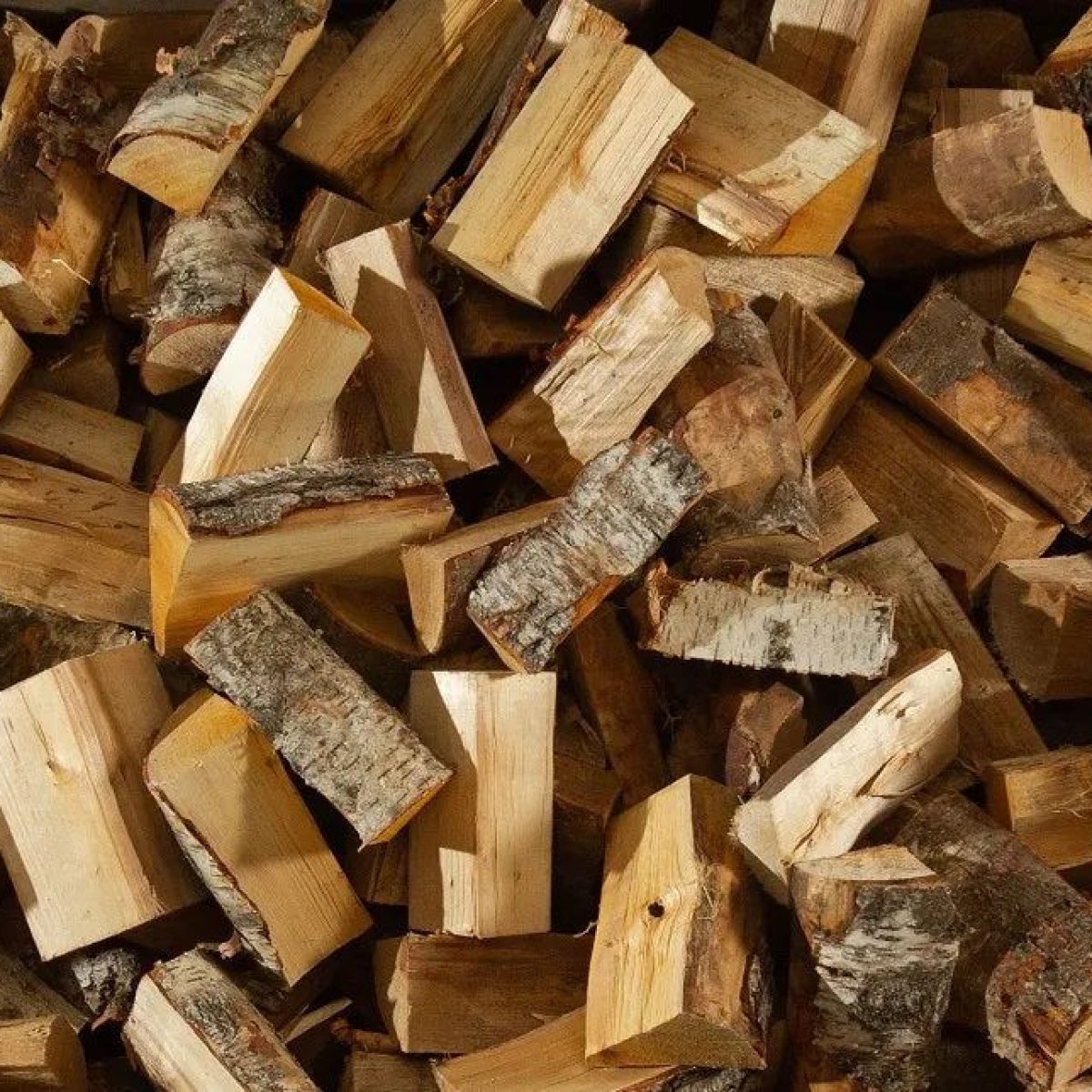 Tree-Surgery-Logs-Kent